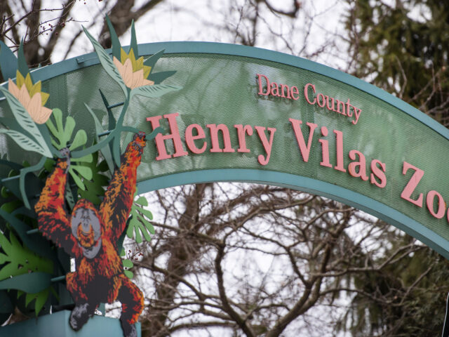 Family Fun In Madison, WI – Things To Do With Kids, Teens, and Parents Alike